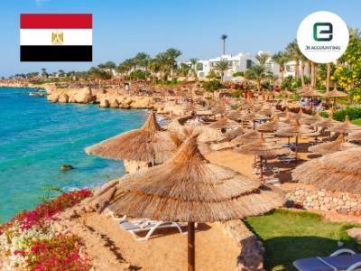 Egypt Company Formation